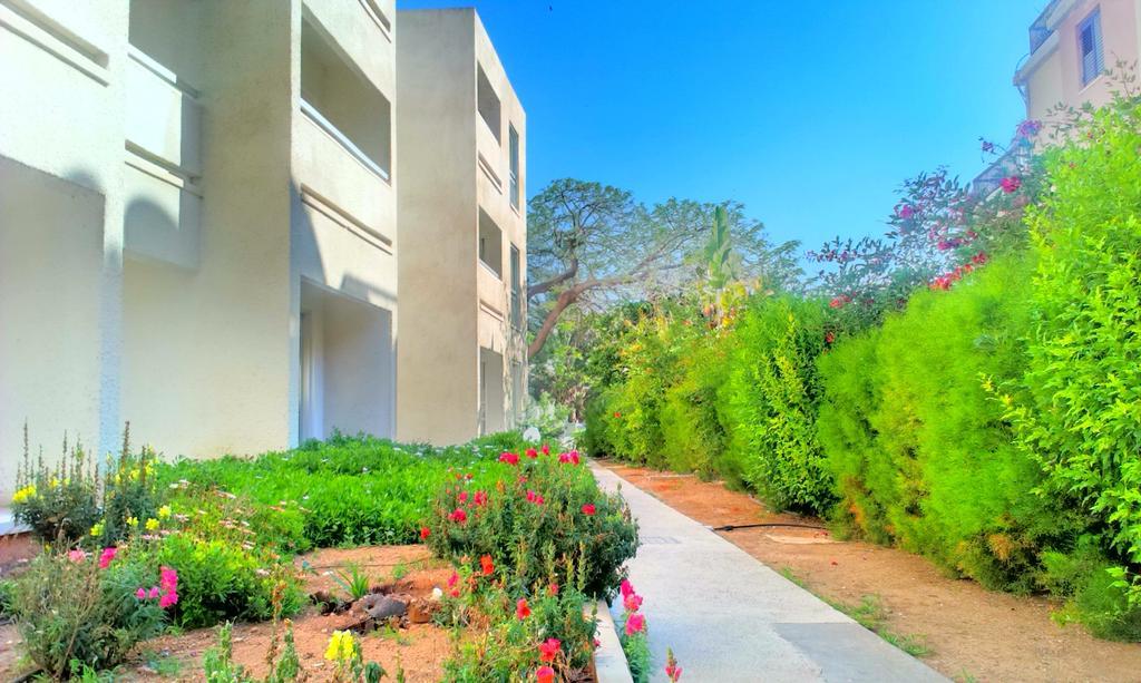 Daphne Hotel Apartments (Adults Only) Paphos Exterior photo